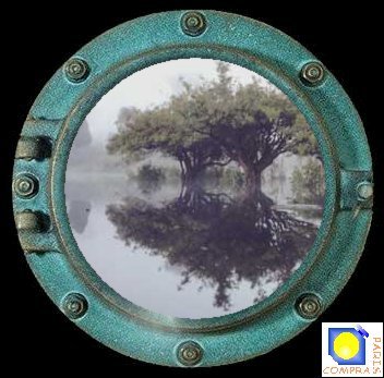 For�t inond�e ou varz�a