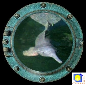 dauphin rose ou boto