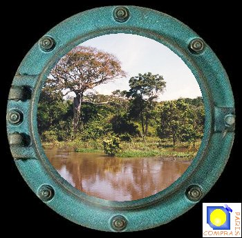 for�t inondable ou varzea