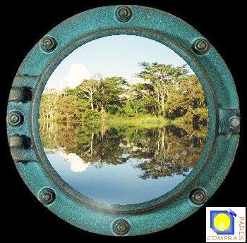 Amazone et for�t inondable