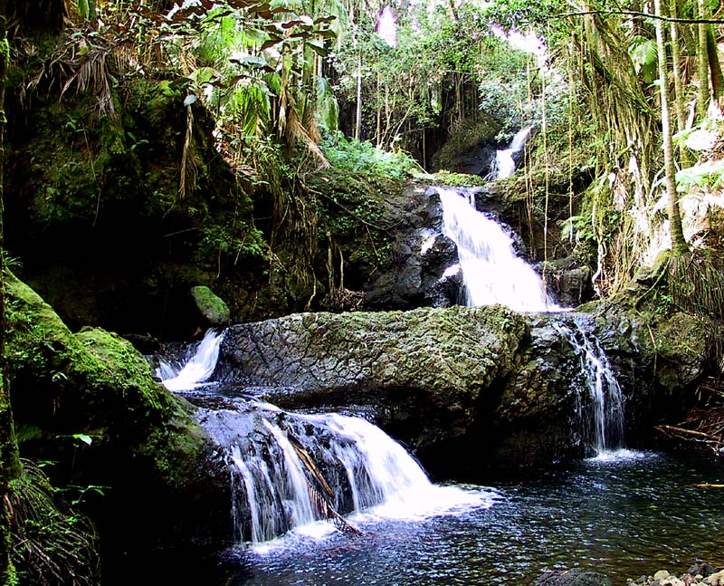 Cascade en fort vierge amazonienne