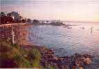 SAlvador 1