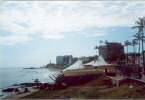 salvador 11