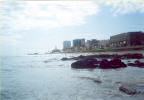 salvador 12